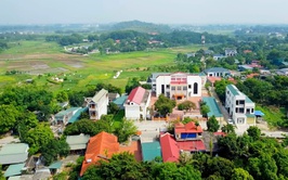 Giới thiệu chung về phường Tùng Thiện