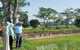 Thôn Yên Trường xã Ứng Thiên phối hợp triển khai mô hình lúa chất lượng cao