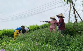 Tổ dân phố số 9 phường yên sở gắn biển công trình “vườn hoa mái đê” chào mừng đại hội đảng bộ phường lần thứ i, nhiệm kỳ 2025 - 2030