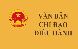 Về việc tăng cường thông tin chủ động ứng phó với mưa lớn, nguy cơ lũ, ngập lụt, lũ quét, sạt lở đất