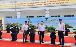 HỘI NÔNG DÂN XÃ THƯ LÂM CHUẨN BỊ TRƯNG BÀY CÂY CẢNH NGHỆ THUẬT