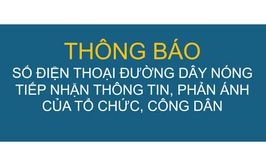 Thông báo công khai số điện thoại đường dây nóng phục vụ công tác tiếp nhận thông tin, phản ánh của tổ chức, công dân