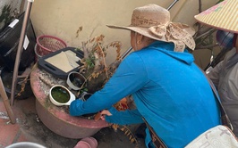 Xã Quang Minh tăng cường phòng chống sốt xuất huyết: Đồng loạt ra quân diệt loăng quăng, bọ gậy, xử lý triệt để ca bệnh