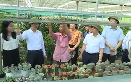 Phúc Thọ: Nông nghiệp chuyển mình theo hướng sinh thái, hiện đại và bền vững