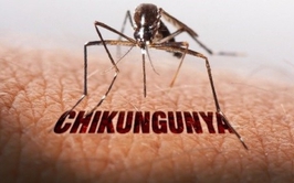 Bệnh  Chikungunya – Nguyên nhân, triệu chứng và biện pháp phòng ngừa