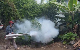 Quyết tâm không để dịch bệnh làm ảnh hưởng đến “Ngày hội non sông”