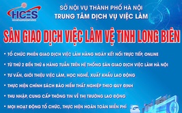 Nhu cầu tuyển dụng lao động của các doanh nghiệp trên địa bàn phường
