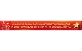 Hướng dẫn cài đặt và truy cập nền tảng A80 - Tự hào Việt Nam.