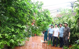 Đồng chí Bí Thư Đảng ủy xã kiểm tra công tác phòng, chống, khắc phục hậu quả cơn bão số 5