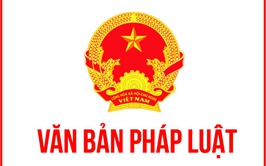 Quyết định 48/2025/QĐ-UBND của UBND thành phố Hà Nội quy định quản lý, lắp đặt mạng cáp viễn thông, hệ thống thu phát sóng di động