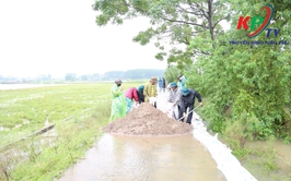 Mực nước sông Tích dâng cao trên mức báo động 3; Xã Kiều Phú ráo riết thực hiện các phương án phòng chống thiên tai 