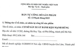 Bản tự công bố sản phẩm số 13/Mạnh Hùng/2025