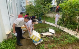 Phường Hoàng Mai tổ chức chiến dịch vệ sinh môi trường – diệt bọ gậy phòng, chống sốt xuất huyết đợt I năm 2025.