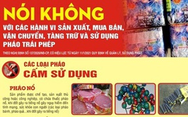 Hoài Đức phát động phong trào thi đua tuyên truyền, vận động giao nộp và đấu tranh với tội phạm, vi phạm pháp luật về vũ khí, vật liệu nổ, công cụ hỗ trợ