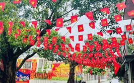 TAM HƯNG RỰC RỠ CỜ HOA ĐÓN CHÀO ĐẠI LỄ 2/9