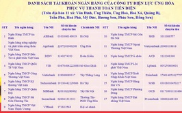 Công ty Điện lực ứng Hòa: Tuyên truyền nội dung liên quan đến việc thanh toán tiền điện.