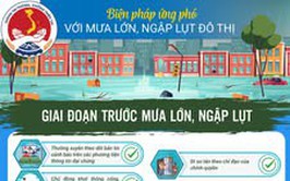 DỰ BÁO MƯA DÔNG, CẢNH BÁO MƯA LỚN CỤC BỘ, LỐC, SÉT, MƯA ĐÁ, GIÓ GIẬT MẠNH Ở BẮC BỘ