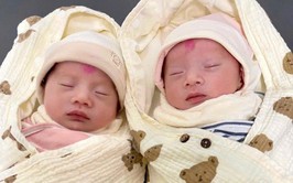 Vượt qua lo lắng thai có bất thường bẩm sinh, sản phụ mang song thai sinh con an toàn tại Bệnh viện Phụ Sản Hà Nội