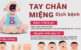 BỆNH TAY CHÂN MIỆNG VÀ NHỮNG ĐIỀU CẦN BIẾT