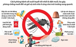 Chương Mỹ tiếp tục triển khai tổng vệ sinh môi trường, phòng chống dịch bệnh