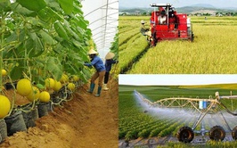 Hà Nội phê duyệt 06 Quy trình nội bộ, Quy trình điện tử trong giải quyết thủ tục hành chính lĩnh vực Trồng trọt