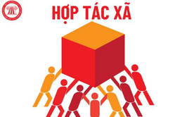 DANH SÁCH HỢP TÁC XÃ ĐĂNG KÝ THÁNG 8 NĂM 2025
