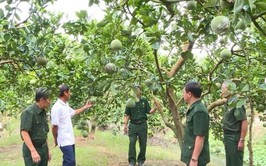 Gương sáng Cựu chiến binh làm kinh tế giỏi