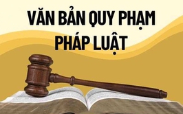 Nghị định số 125/2025/NĐ-CP của Chính phủ: Quy định về phân định thẩm quyền của chính quyền địa phương 02 cấp trong lĩnh vực quản lý nhà nước của Bộ Tài chính