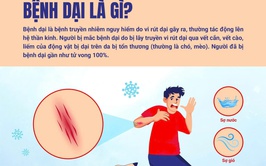CẢNH GIÁC VỚI BỆNH DẠI: CĂN BỆNH NGUY HIỂM NHƯNG CÓ THỂ PHÒNG NGỪA