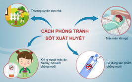 Tăng cường công tác phòng, chống dịch bệnh sốt xuất huyết.