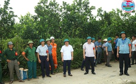 CƯỠNG CHẾ CÁC CÔNG TRÌNH VI PHẠM TRÊN ĐỊA BÀN XÃ HƯNG ĐẠO