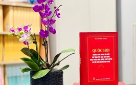 TIẾP TỤC ĐỔI MỚI TỔ CHỨC VÀ HOẠT ĐỘNG CỦA QUỐC HỘI TRONG KỶ NGUYÊN MỚI