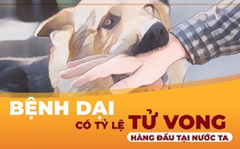 Ngành y tế Hà Nội: Tổ chức các hoạt động hưởng ứng Ngày thế giới phòng chống bệnh dại