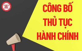 QUYẾT ĐỊNH Về việc công bố Danh mục thủ tục hành chính được sửa đổi, bổ sung trong lĩnh vực xuất nhập khẩu thuộc phạm vi chức năng quản lý của UBND thành phố Hà Nội