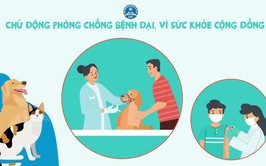 Bệnh dại và cách phòng ngừa