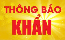 Thông báo về việc chủ động ứng phó với diễn biến cơn bão số 9 (bão Ragasa)