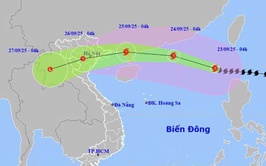 Ứng phó chủ động, 