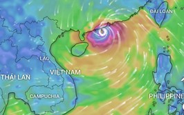 Phường Tây Hồ: Chủ động, tập trung triển khai công tác ứng phó siêu bão Ragasa, đảm bảo an toàn tính mạng và tài sản Nhân dân