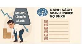 Tình hình nợ đọng BHXH, BHYT, BHTN tháng 9 năm 2025