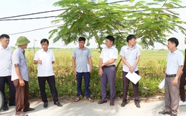 HỘI ĐỒNG NHÂN DÂN XÃ ỨNG HÒA TỔ CHỨC KHẢO SÁT CÁC DỰ ÁN ĐẦU TƯ TRÊN ĐỊA BÀN.