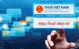 Hướng dẫn thủ tục đăng ký kinh doanh, đăng ký thuế đối với hộ kinh doanh