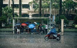 Hà Nội ngày 26/9: Có mưa, mưa vừa, có lúc mưa to và dông dông