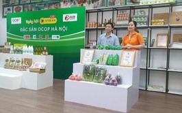 Hà Nội mở gian hàng số trên sàn thương mại điện tử Shopee