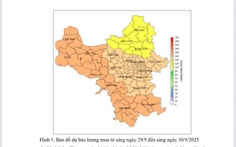 TIN DỰ BÁO MƯA LỚN THÀNH PHỐ HÀ NỘI