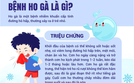 Hướng dẫn phòng chống bệnh Ho gà