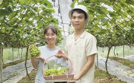 Anh Kiều Văn Tuyên - Tấm gương nông dân dám nghĩ, dám làm ở xã Phúc Thọ
