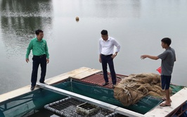 Đoài Phương kê khai hoạt động chăn nuôi xong trước ngày 30/01/2026

