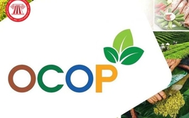 DANH SÁCH CÁC SẢN PHẨM OCOP TRÊN ĐỊA BÀN XÃ TRUNG GIÃ NĂM 2025