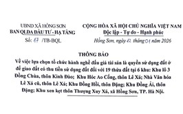 Thông báo số 17/TB-BQL ngày 12/01/2026 của Ban quản lý dự án Đầu tư - Hạ tầng
