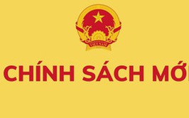 TOÀN VĂN: Nghị định 07/2026/NĐ-CP sửa đổi, bổ sung về chế độ tiền lương đối với cán bộ, công chức, viên chức và lực lượng vũ trang